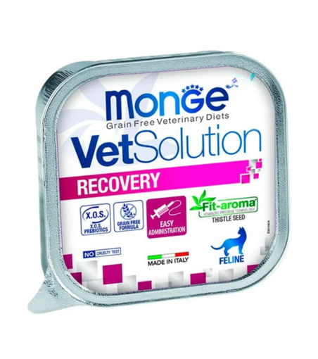 Imagen de Vet Solution cat recovery 100g